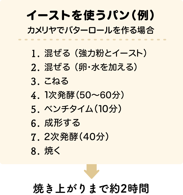 日清 5分こねて焼くだけ簡単！こね・パン | 日清製粉ウェルナ